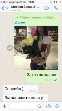 Doc44966546 509780995
