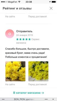Doc44966546 509781770