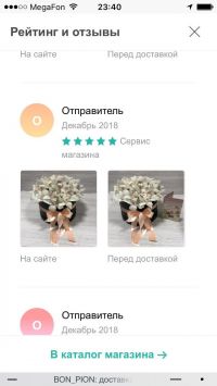 Doc44966546 509781815